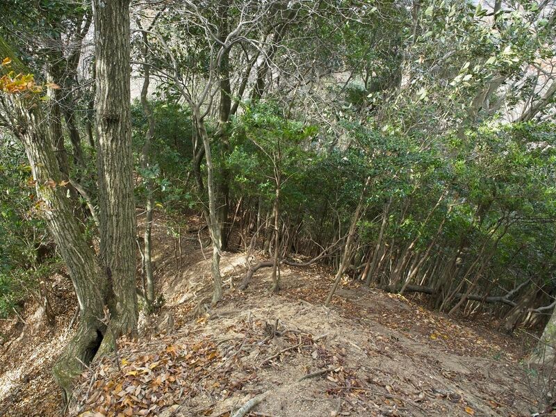 File:Nakaokyoto11.jpg
