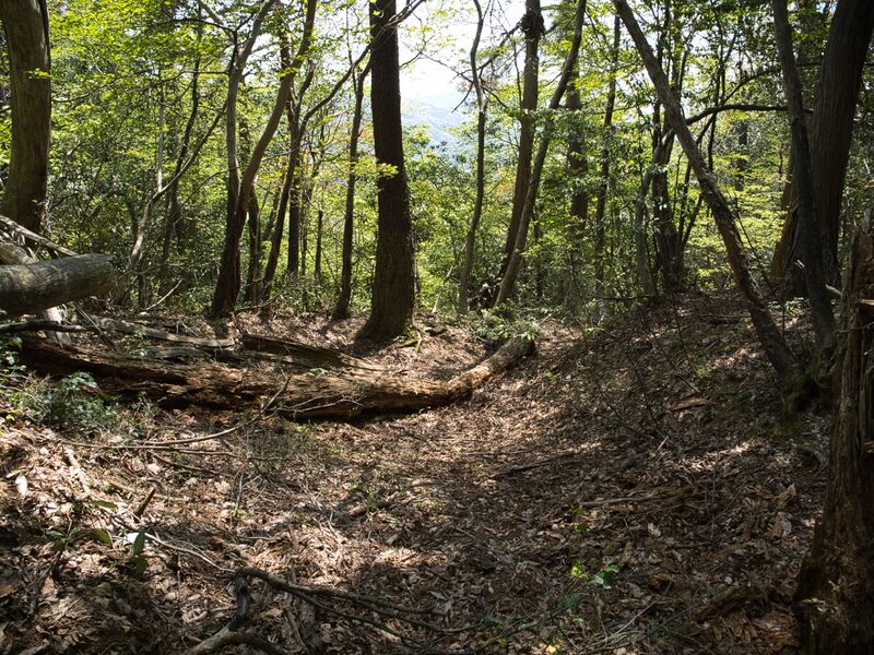 File:Nakataniyama11.jpg