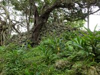 Nanzan Castle Ray 3.jpg