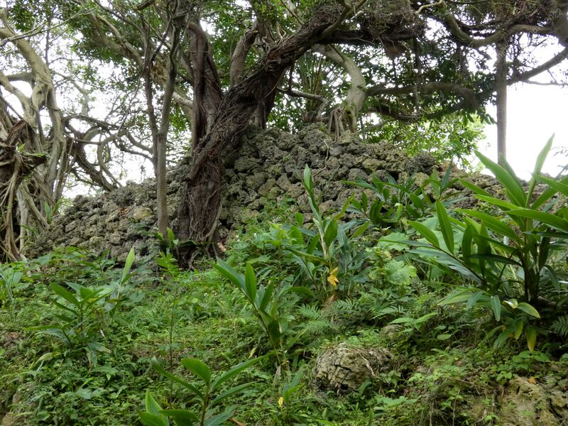 File:Nanzan Castle Ray 3.jpg