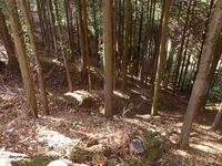 ObaraichibajouChris (1).jpg