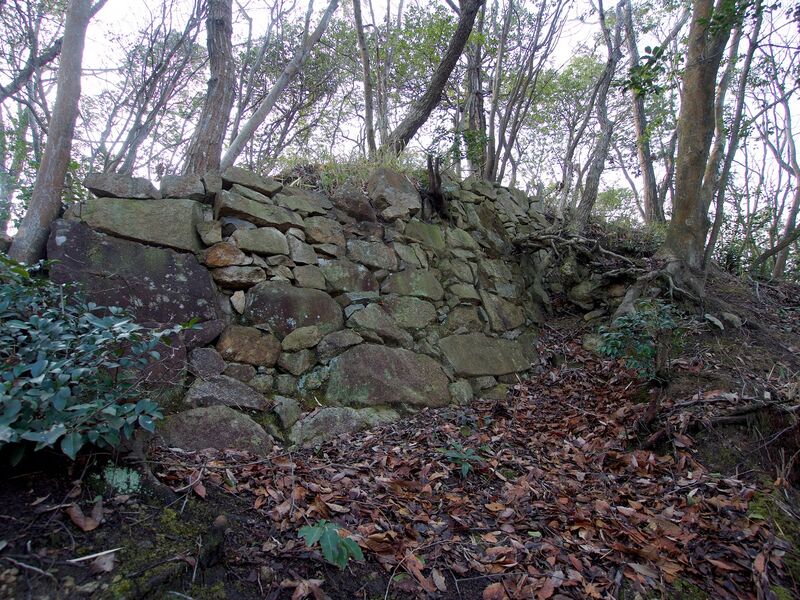 File:Sasou17.jpg