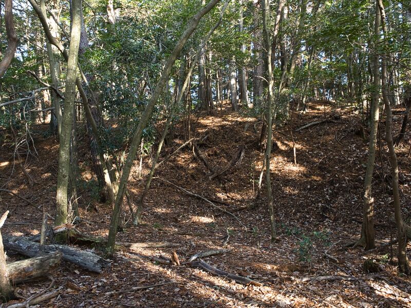 File:Shizuharanorth2.jpg