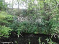 SomaNakamura (11).JPG