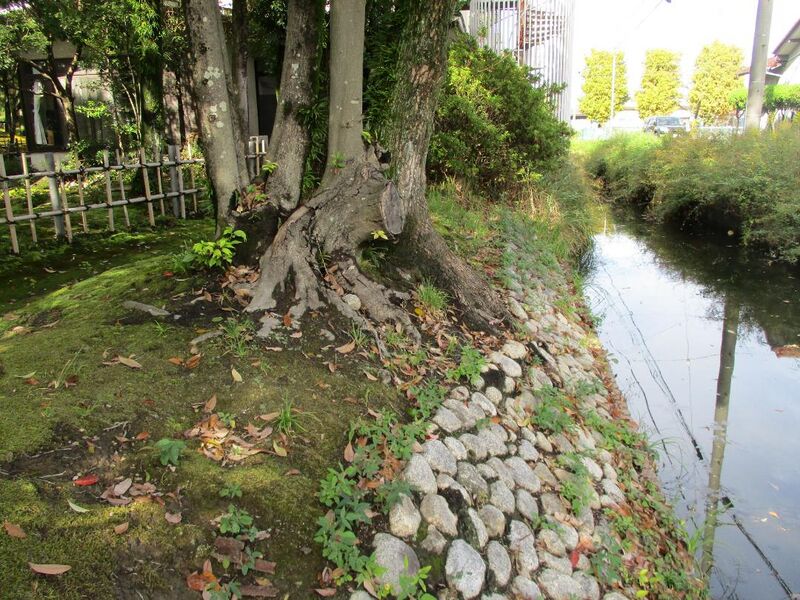 File:Asanojou 011.jpg