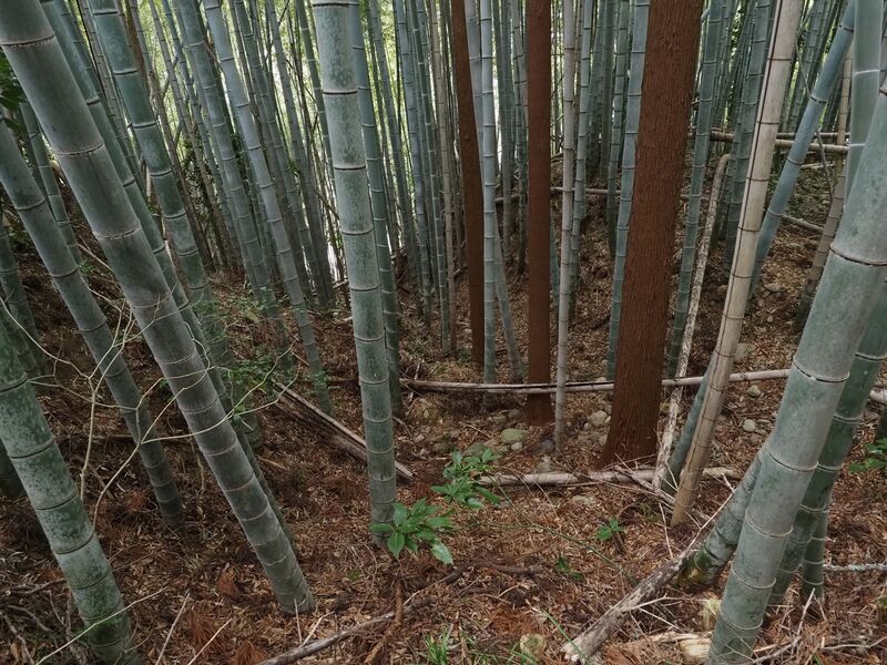 File:Futamata5.jpg