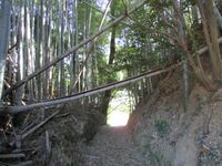 HoiShironokoshijou1.jpg