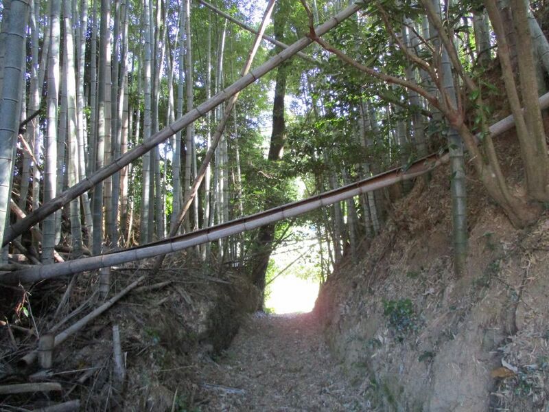 File:HoiShironokoshijou1.jpg