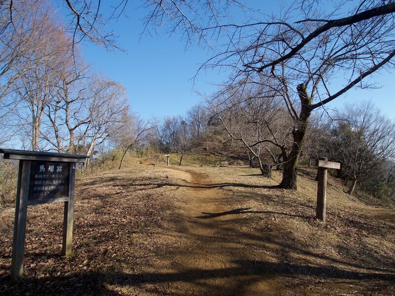 File:Iwadono19.jpg
