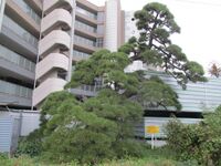 MitobeYashiki (1).jpg