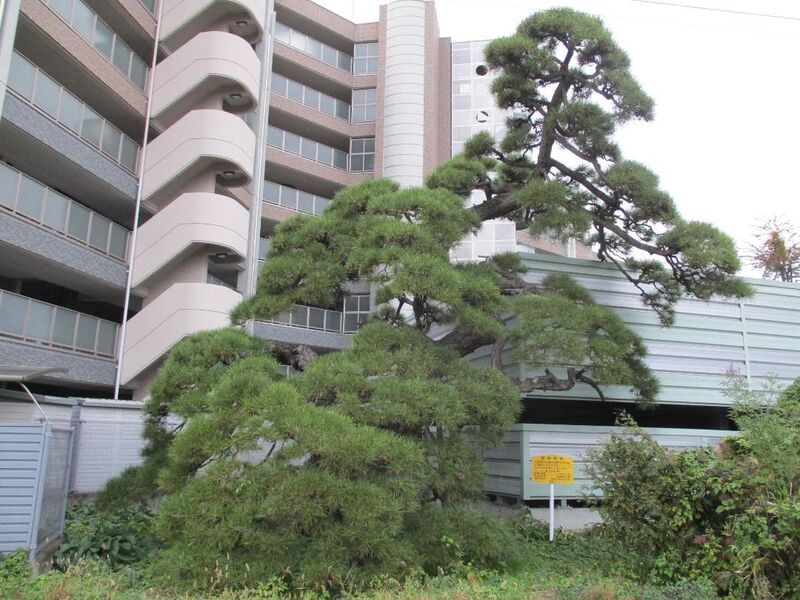 File:MitobeYashiki (1).jpg