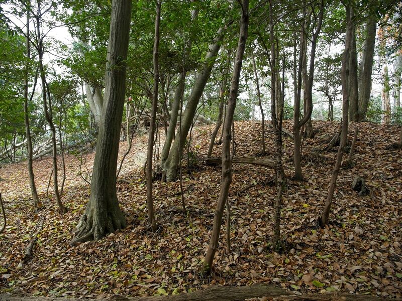 File:Nakaokyoto23.jpg