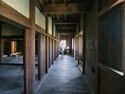 Osaka inuiyagura9.jpg