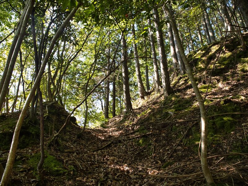 File:Shiogai15.jpg
