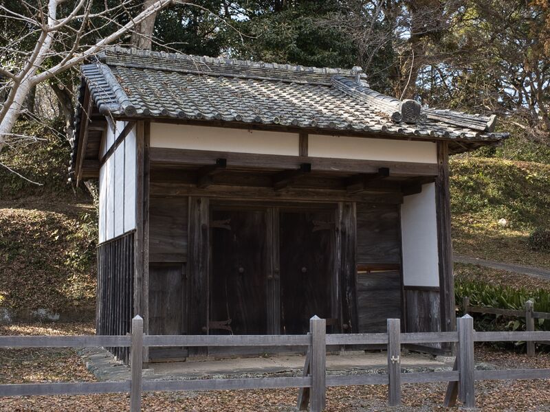 File:Tamarufujimi 2.jpg