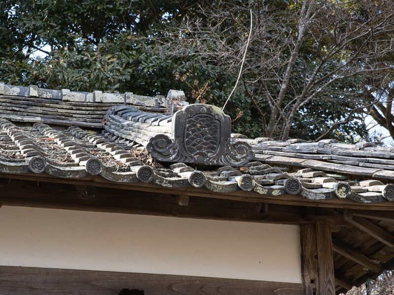 File:Tamarufujimi 3.jpg