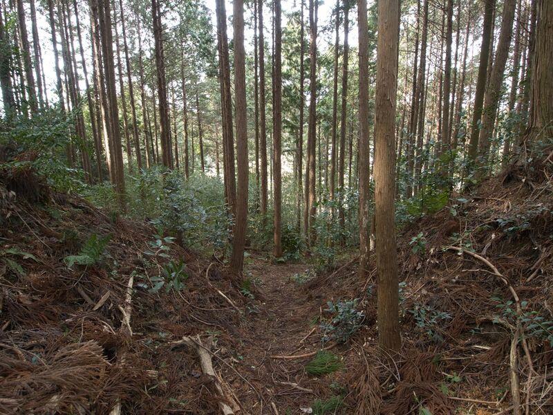 File:Wadakoka10.jpg