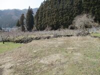 YamadaTakanashiYakata (4).JPG