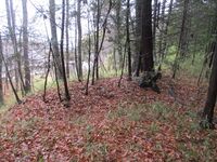 KaiOhtsuboRui (18).JPG