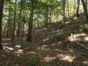 Kokashingushi29.jpg