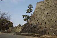 Matsuyama4.jpg