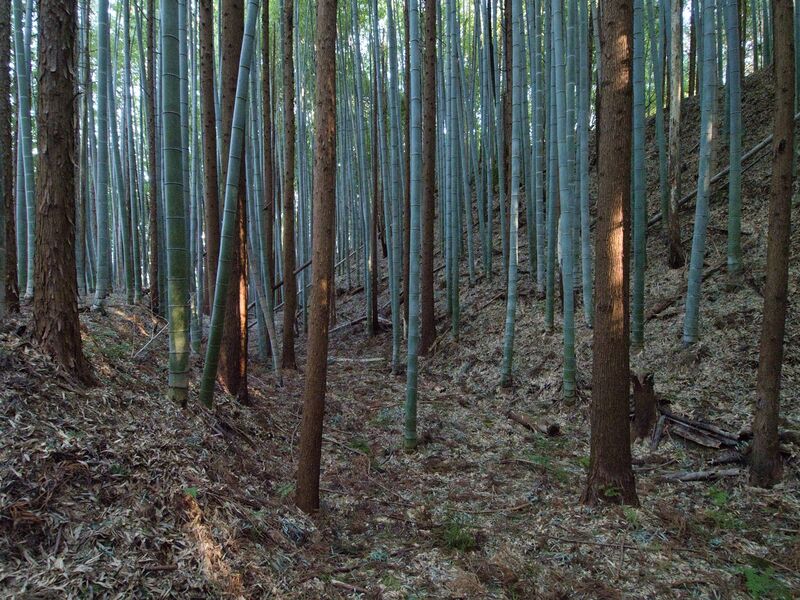 File:Mochizukikoka30.jpg