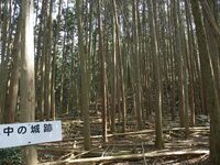 Ogawanakanokoka20.jpg