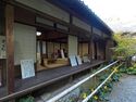 Umoreginoyahikone7.jpg