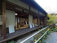 Umoreginoyahikone7.jpg
