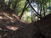 Yamana23.jpg
