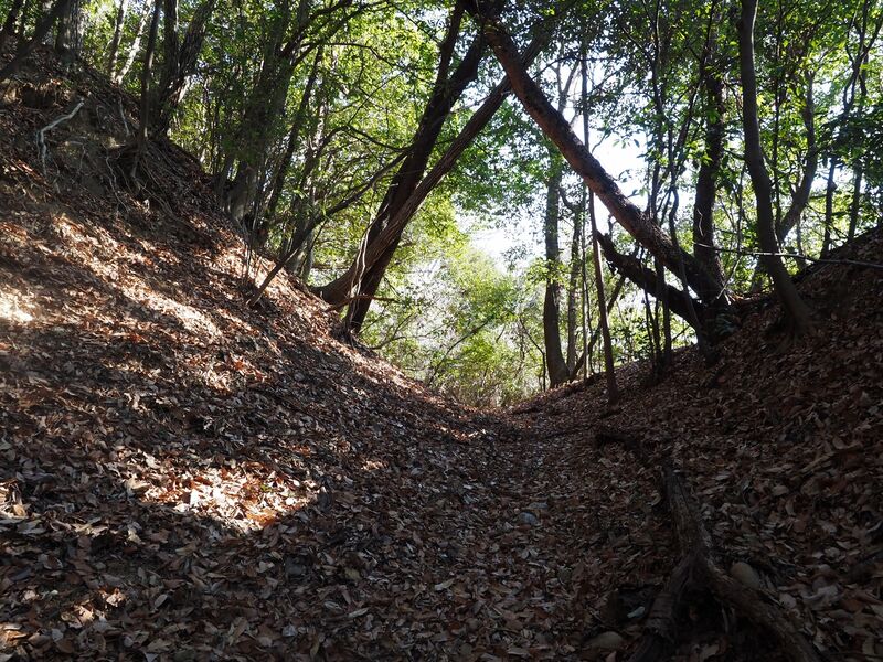 File:Yamana23.jpg