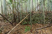 Akutagawasan21.jpg