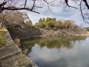 Hikone82.jpg