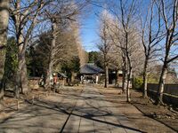 Hiratsuka3.jpg