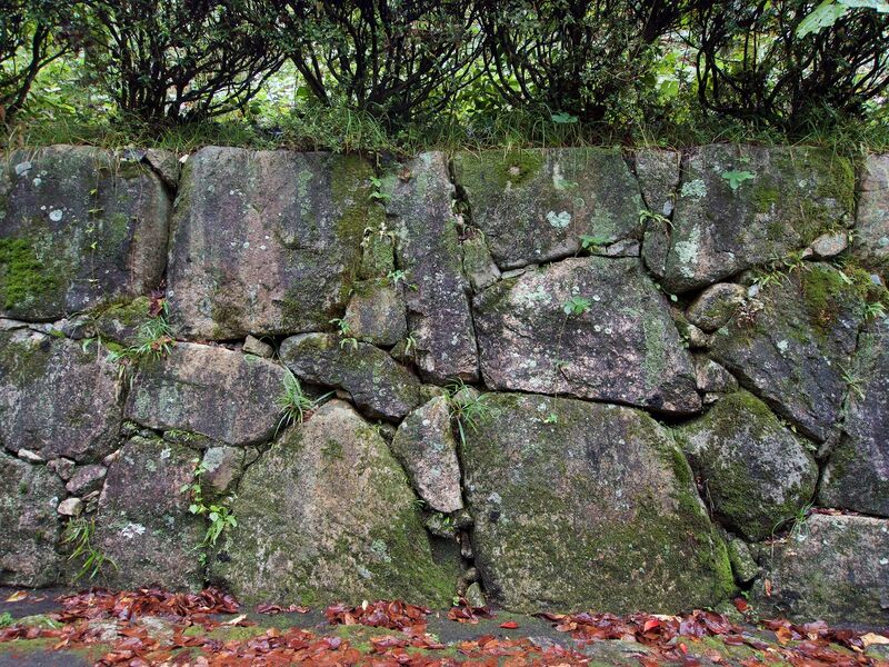 File:Kamei8.jpg