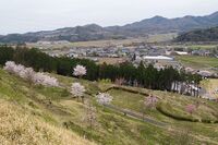 Minagawa19.jpg