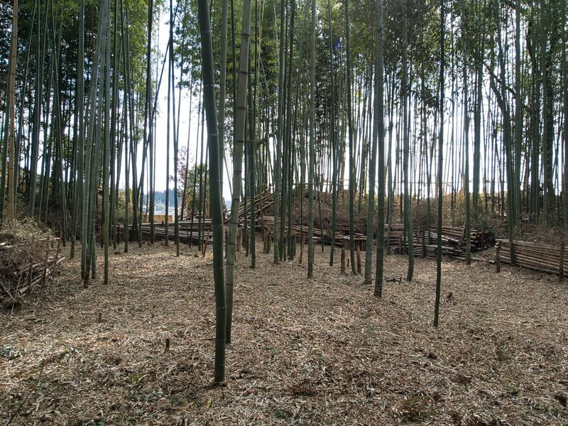 File:Takenaka15.jpg