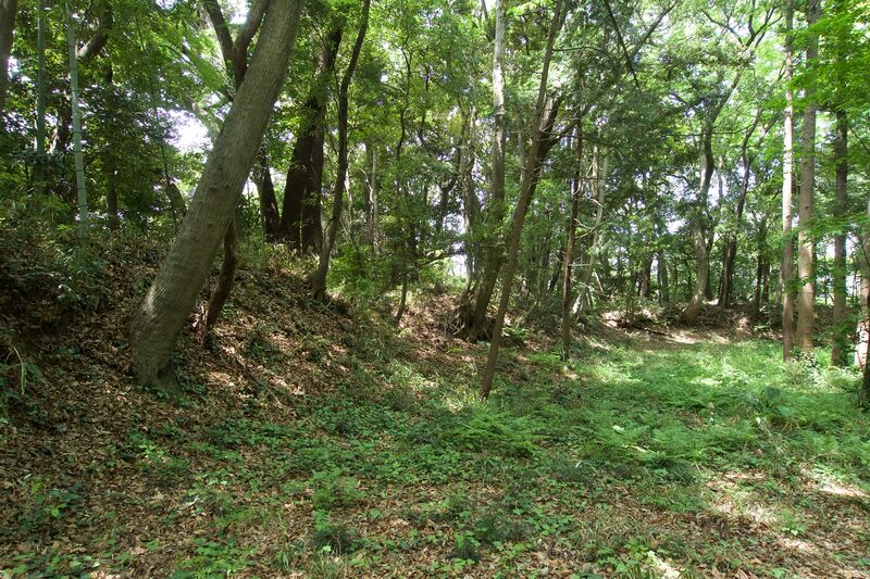 File:Ushiku13.jpg