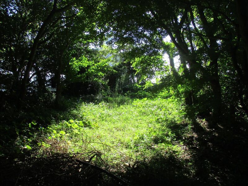 File:ChitaIsshikijou (4).jpg