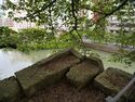 Fukui6.jpg