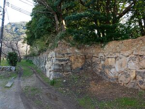 Hagicastle7.jpg