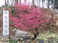 Hatsuzawajou (2).JPG