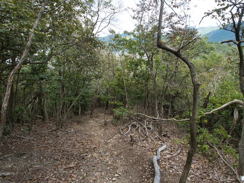 File:Matsugasakikyoto9.jpg