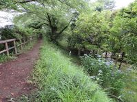 Mibu (8).JPG