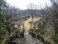 MinoHonjin003.jpg