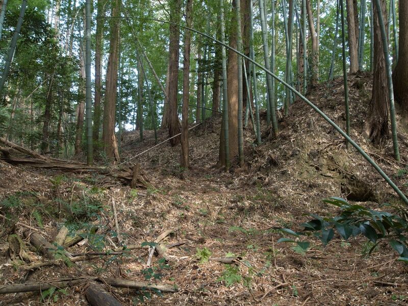 File:Mochizukishikoka28.jpg