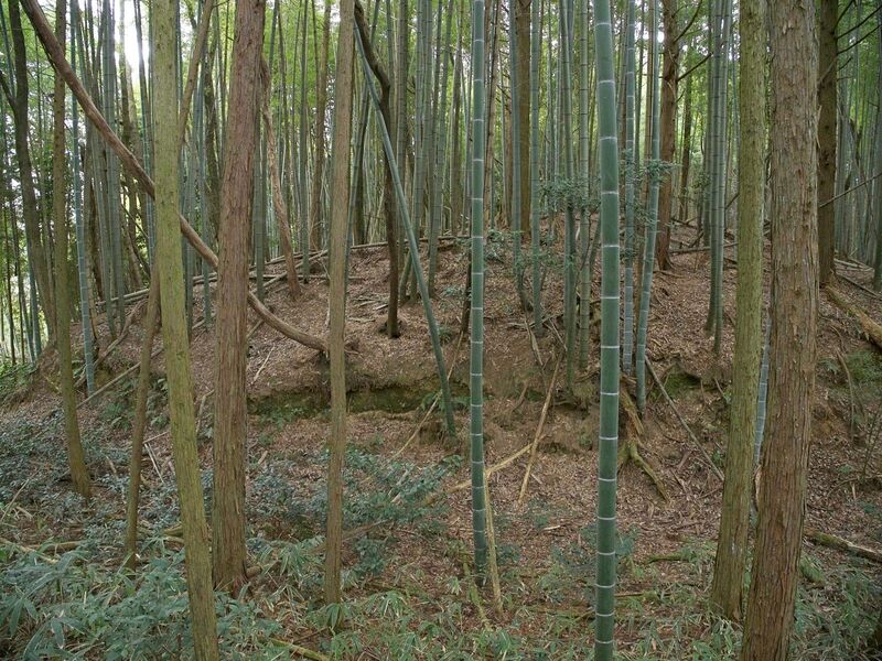 File:Ogawanishinokoka36.jpg