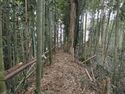 Takenaka10.jpg