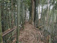 Takenaka10.jpg
