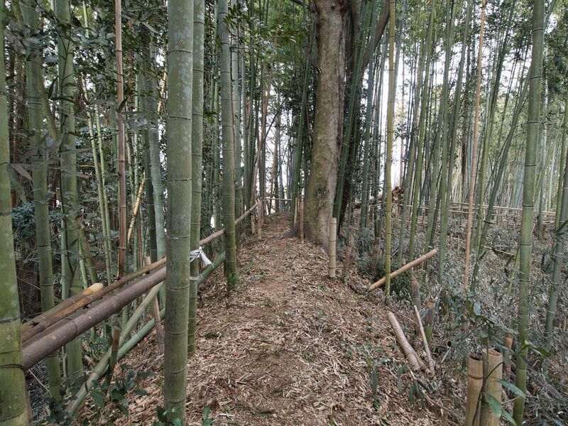 File:Takenaka10.jpg